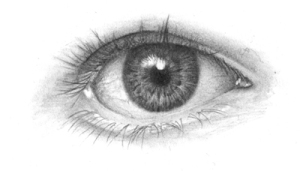 eyefinal2